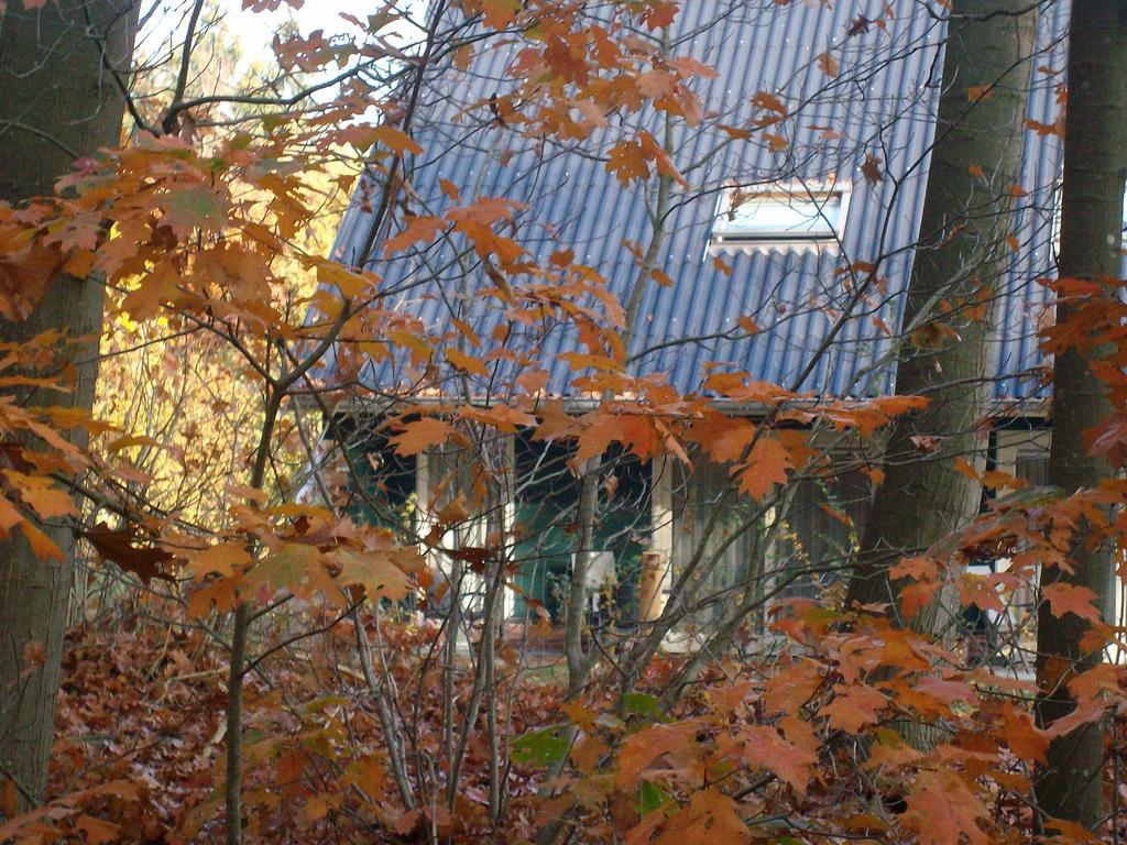 Horsetellerie Rheezerveen Hardenberg Exterior foto