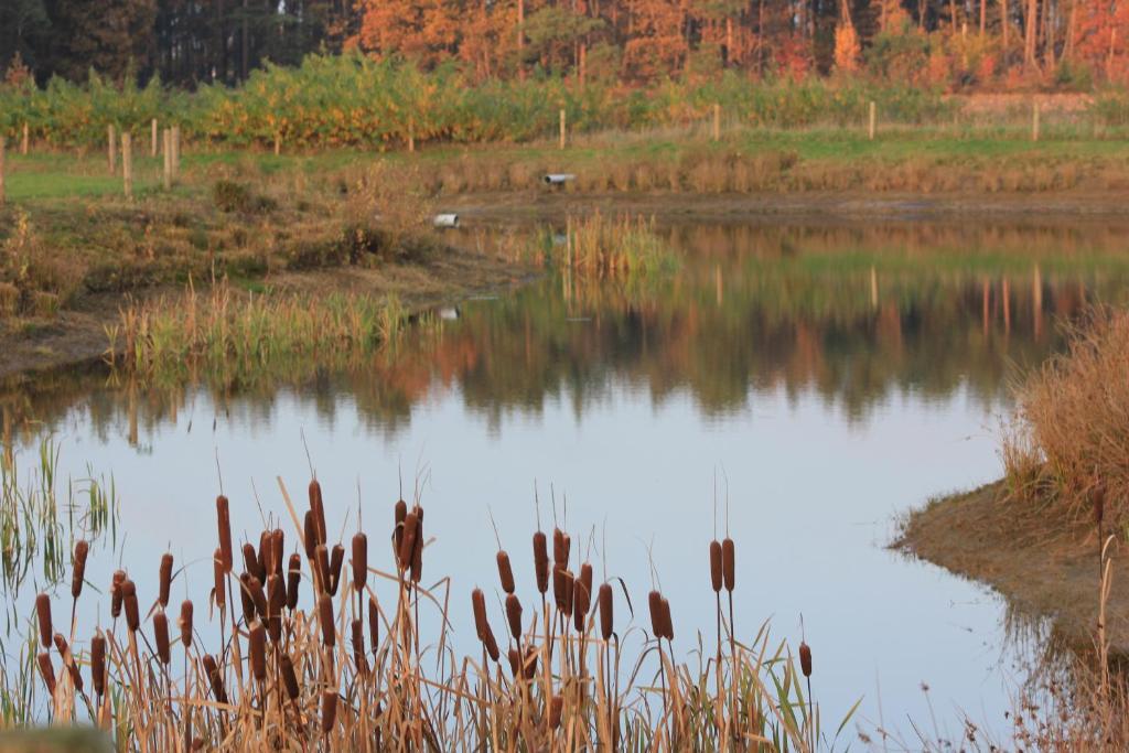 Horsetellerie Rheezerveen Hardenberg Cameră foto