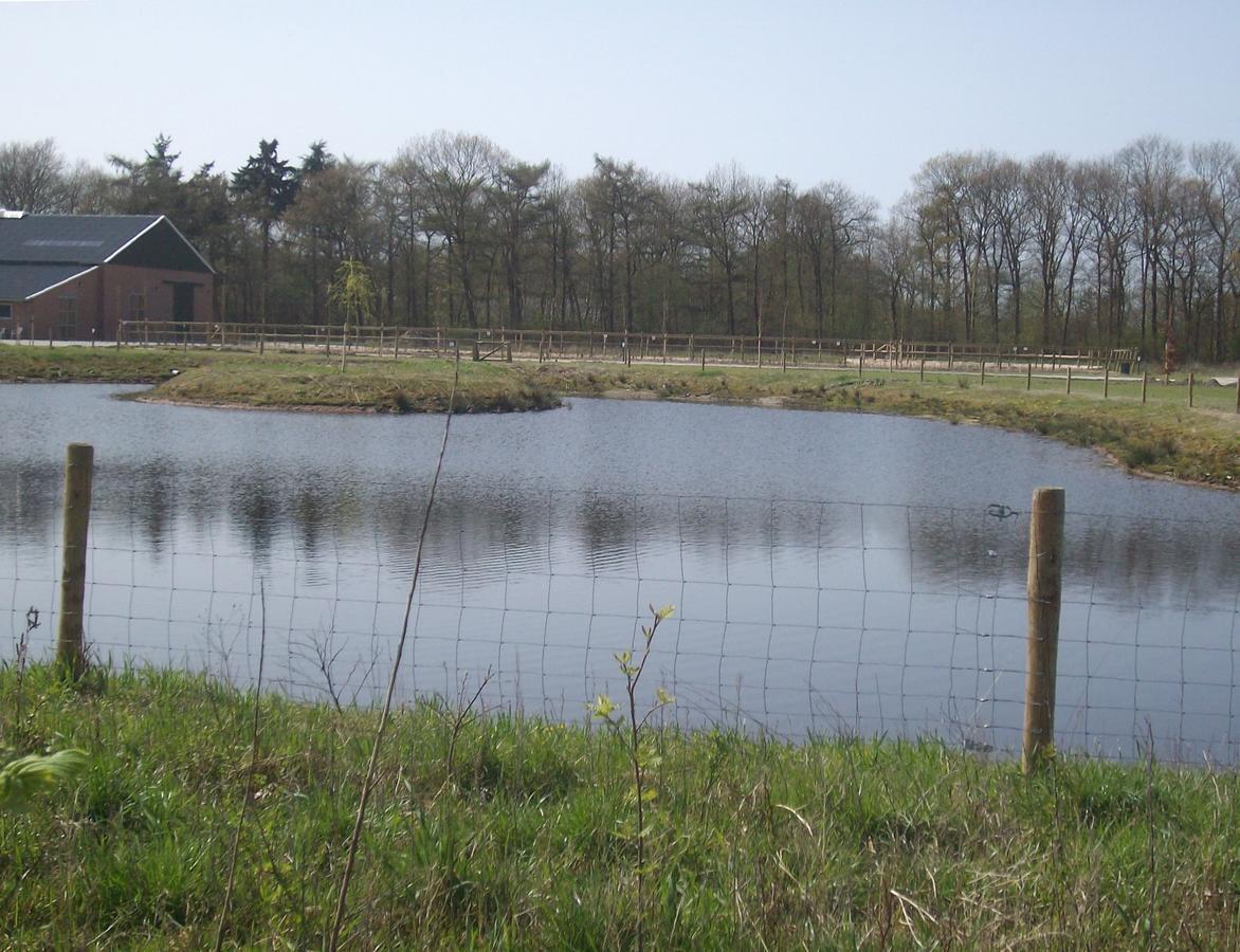 Horsetellerie Rheezerveen Hardenberg Exterior foto